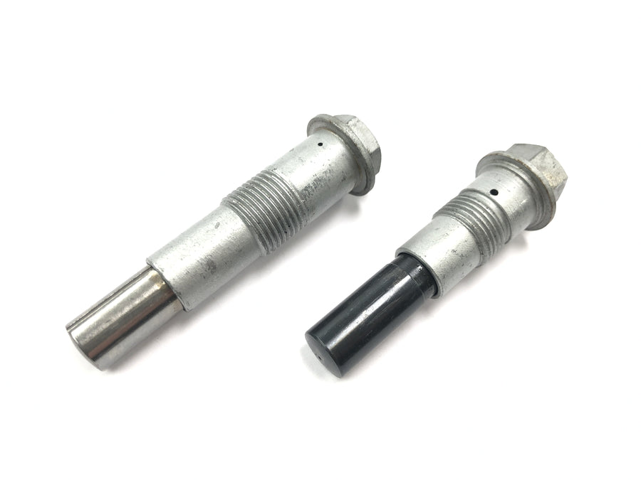 BMW R 1100 S R2S [2000] - timing chain tensioner pair