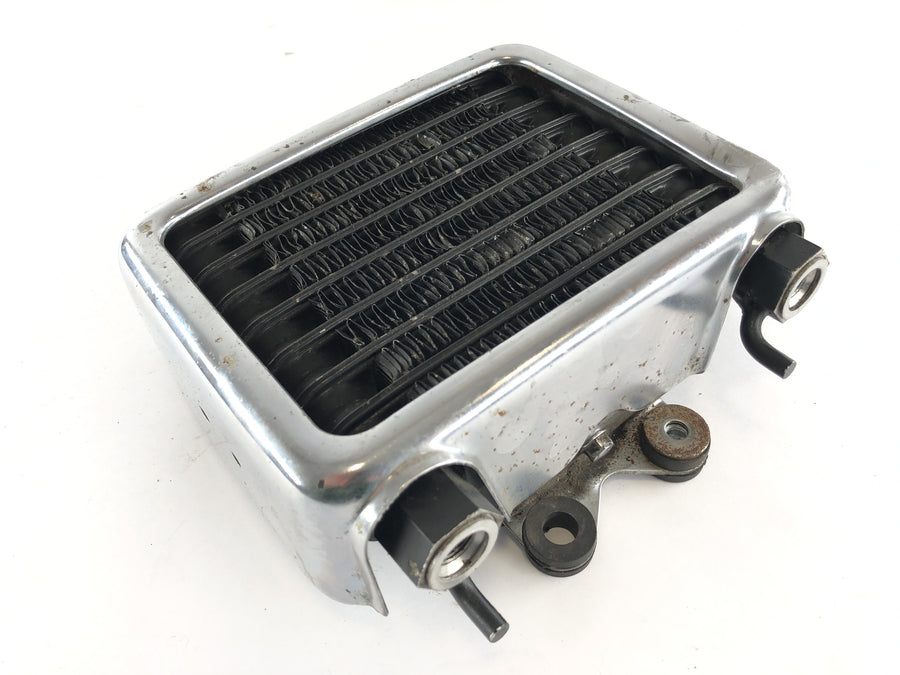 Suzuki VS 1400 VX51L [1987] - Oil cooler with frame cover