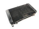 Aprilia RS 125 Extrema [1994] - Radiator water cooler radiator cooling system-2