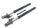 Aprilia RSV 1000 RP Mille [2001] - Fork telescopic fork with axle-1