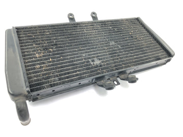 TRIUMPH DAYTONA 955I T595 [1998] - Radiator water cooler
