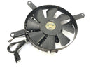Kawasaki VN 800 Classic [2000] - Radiator fan-1