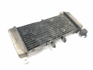 Aprilia RS 125 TW [2017] - Radiator water cooler cooling system radiator network - 0
