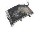Honda CBR 900 RR Fireblade SC33 [2000] - Radiator water cooler cooling radiator-4