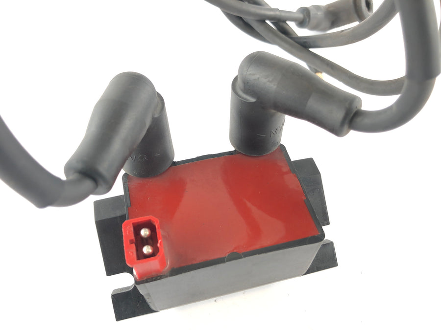 BMW R 1150 R R21 [2002] - Ignition coil with plug