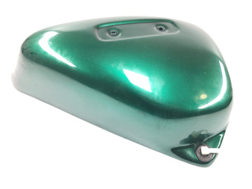 Triumph Thunderbird 900 T309RT [1995] - Side panel right side cover cover