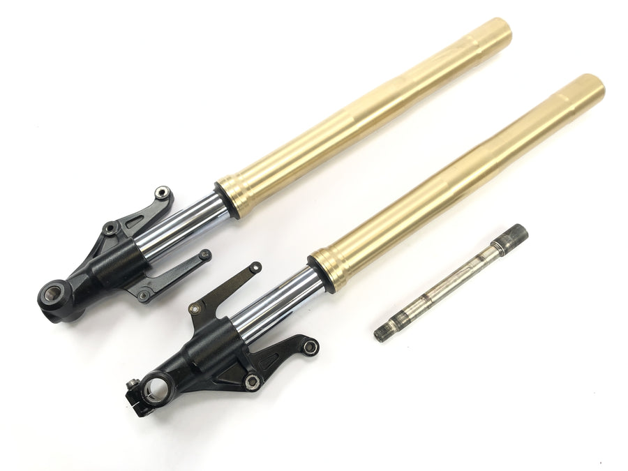 Triumph Street Triple R 675 D67LD [2010] - fork telegabel with axis upside down