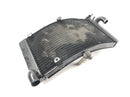 Honda CBR 900 RR Fireblade SC33 [2000] - Radiator water cooler cooling radiator-5