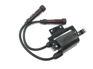Triumph Bonneville T100 986MF [2012] - Ignition coil ignition module ignition unit with cable and spark plug connector