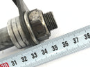 Honda CBF 1000 A SC58 [2006] - rear axle-3