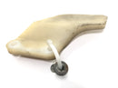 Honda XRV 750 Africa Twin RD04 [1990] - Chain drag guard guide rail-3