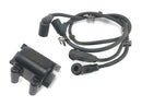 BMW R 1150 RS R22 [2003] - Ignition coil Ignition coil module with ignition cables ignition lines-2