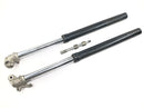 Beta RR 125 [2018] - Telescopic fork with axle-1
