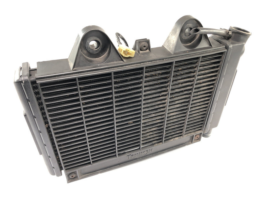 Triumph Daytona 900 T300 [1993] - cool water cooler motor cooler at the front