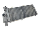 BMW F 650 GS R13 [2002] - cool water cooler motor cooler at the front-3