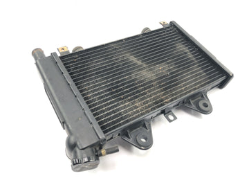 Triumph Daytona 900 T300D [1996] - Radiator water cooler cooling system - 0