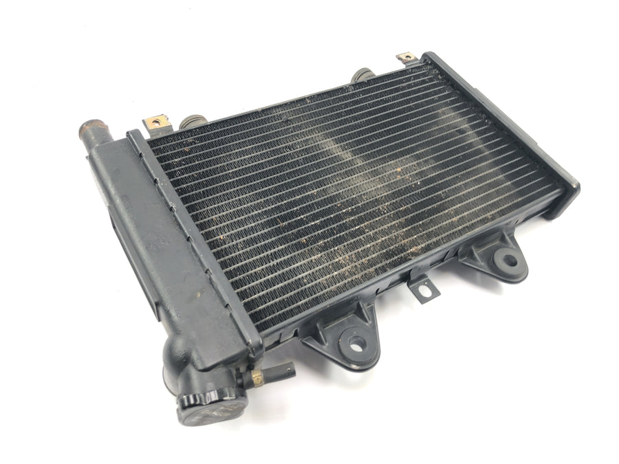 Triumph Daytona 900 T300D [1996] - Radiator water cooler cooling system