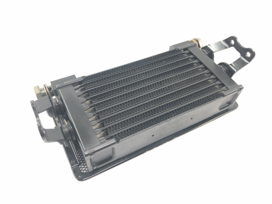 Moto Guzzi V11 Sport [1999] - Oil cooler oil radiator with protective grille