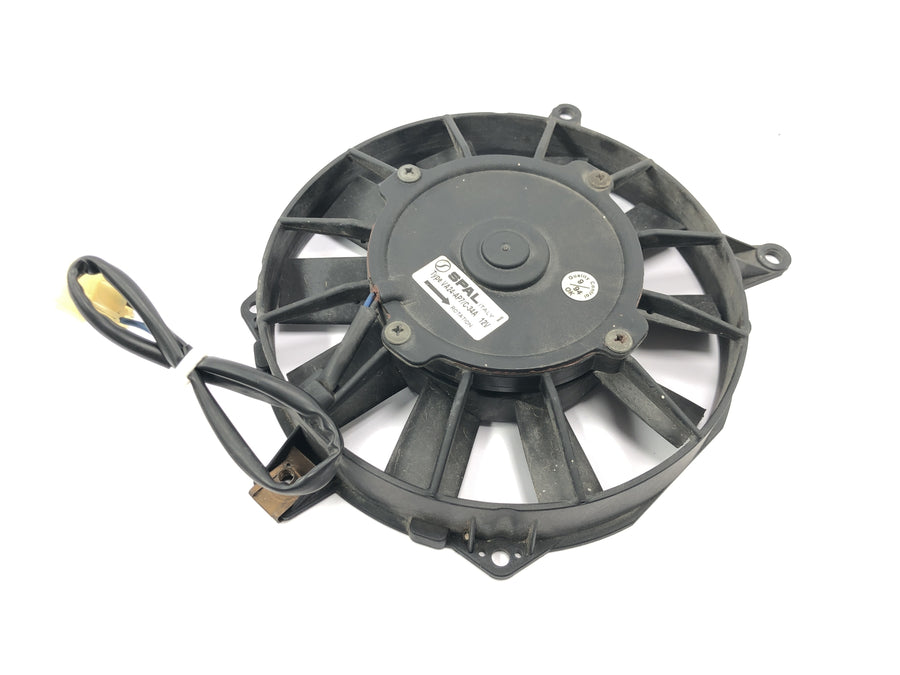Triumph Daytona 900 T300D [1996] - Fan radiator fan cooling fan electric fan