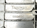 Triumph Thunderbird 900 T309RT [1996] - pinion cover engine cover-4