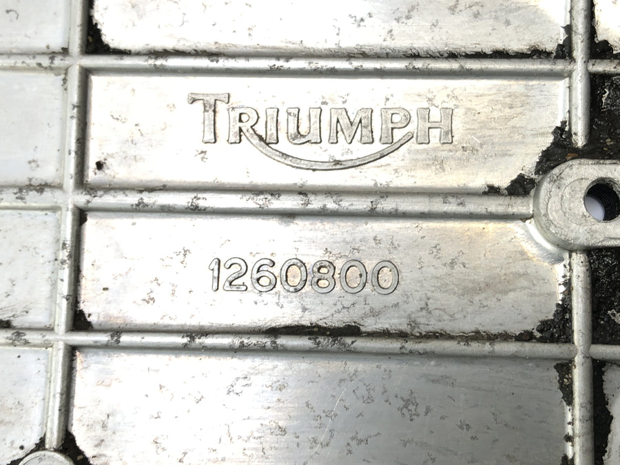 Triumph Thunderbird 900 T309RT [1996] - pinion cover engine cover