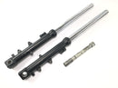 Triumph Daytona 900 T300 [1996] - Fork telescopic fork stanchions 43mm with axle-1