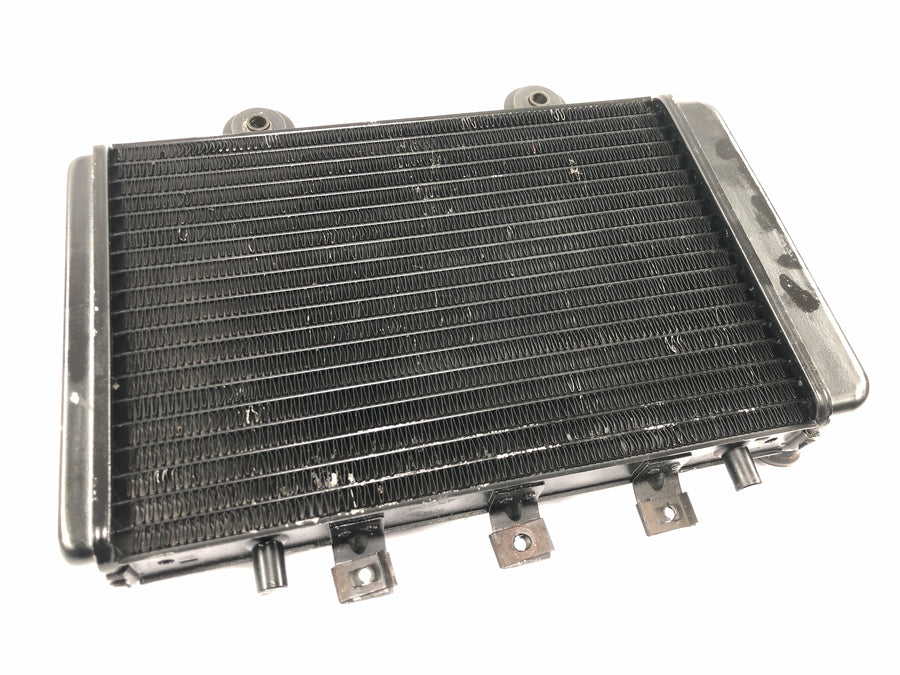 Triumph Thunderbird 900 T309RT [1995] - Radiator water cooler radiator cooling system