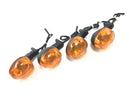 Triumph Tiger 955i 709EN [2003] - Turn signal direction indicator set-2
