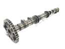Yamaha YZF R1 RN09 [2003] - camshaft outlet camshaft-1