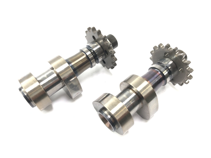 BMW R 850 C 259C [1999] - Camshafts control shafts