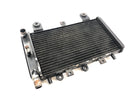 Triumph Tiger 955i 709EN [2003] - Radiator water cooler cooling system-1