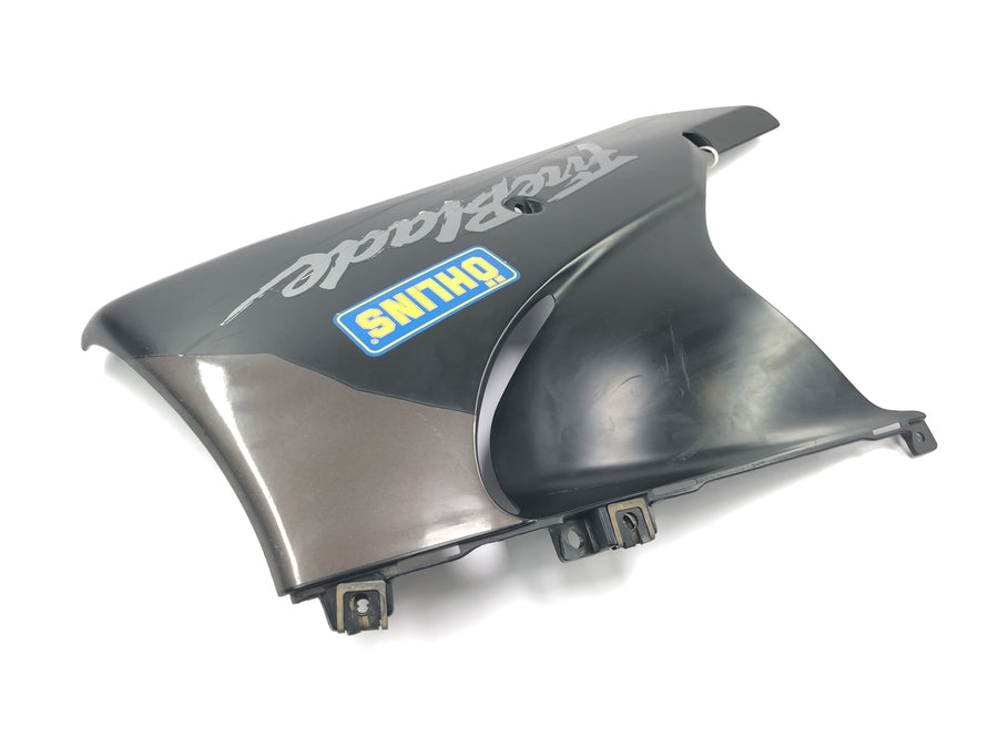 Honda CBR 900 RR Fireblade SC33 [2000] - Front fairing lower right fairing