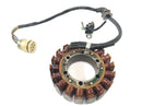 Aprilia RSV 1000 RP Mille [2001] - Stator alternator-4