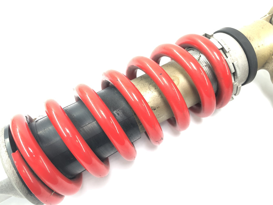 Kawasaki ZX 12 R ZXT20A [2001] - Shock absorber strut