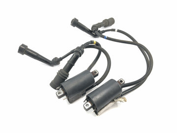 Yamaha XV 1600 Wild Star VP08 [2002] - Zündspulen Paar Zündspule Zündkabel Zündanlage