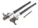 Aprilia RSV4 1000 [2010] - Fork telescopic fork with axle-1