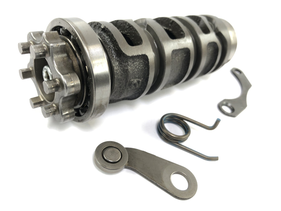 Kawasaki Z 1000 ZRT00A [2006] - Shift drum