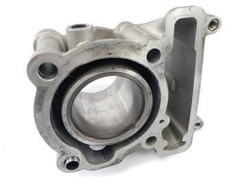 SWM SM 125 R [2018] - cylinder