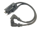 Suzuki RG 250 Gamma GJ21D [1987] - Ignition coil double ignition coil ignition coil unit-4