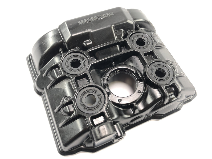 KTM 1050 Adventure [2017] - valve cover at the front