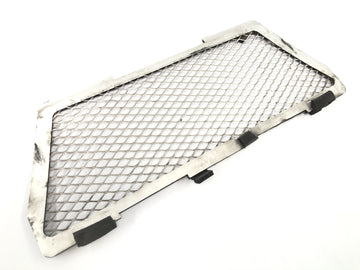 BMW R 1150 GS R21 [2002] - Radiator grille protective grille panel at the front