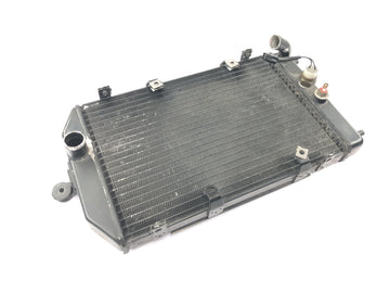 Kawasaki VN 1600 Classic VNT60A [2007] - Radiator Water Cooler Radiator Engine Cooler - 0