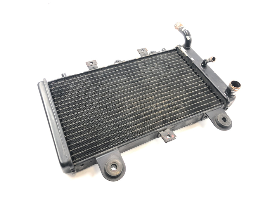 Triumph Tiger 955i 709EN [2003] - Radiator water cooler cooling system