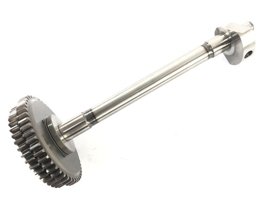 Aprilia RSV4 1000 [2010] - Balance shaft