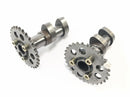 Aprilia RST 1000 Futura [2002] - camshafts set of inlet camshaft and outlet cams-4
