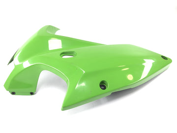 Kawasaki ZRX 1200 S ZRT20A [2002] - Clearing side cladding on the left - 0