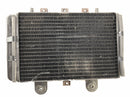 Triumph Thunderbird 900 T309RT [1996] - Water Cooler Radiator-2