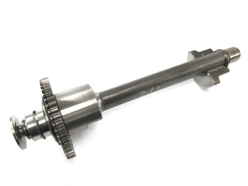 Triumph Sprint ST 1050 [2005] - Balance compensation wave - 0