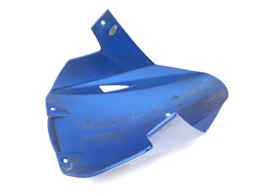 Triumph Sprint ST 1050 [2005] - fender front front fare plate at the front