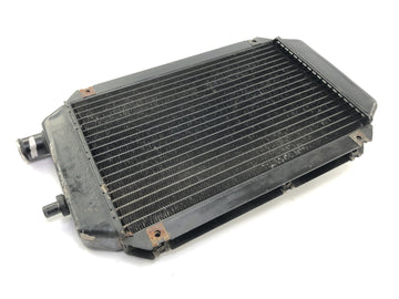 Kawasaki VN 800 Classic [2000] - Radiator Water Cooler